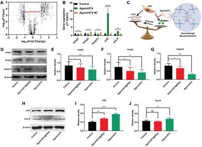 Therapeutic factors and biomaterial-based delivery tools for degenerative intervertebral disc repair